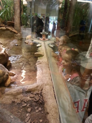 Radosne Maluchy w zoo